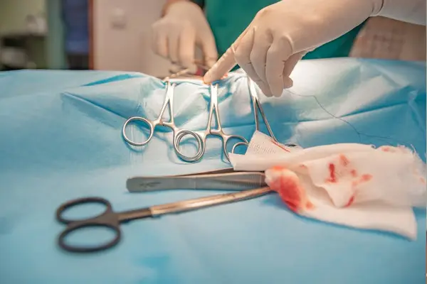 Küçük Cerrahi Müdahale Hizmeti