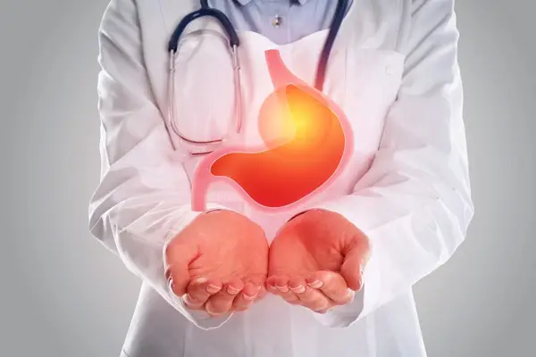 Peg Bakımı ve Takibi